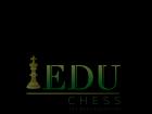 Педагог по шахматам для начинающих